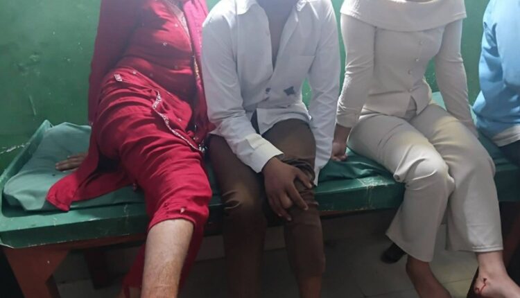 कञ्चनपुरमा बौलाहा कुकुरको आतंक, कयौं घाइते