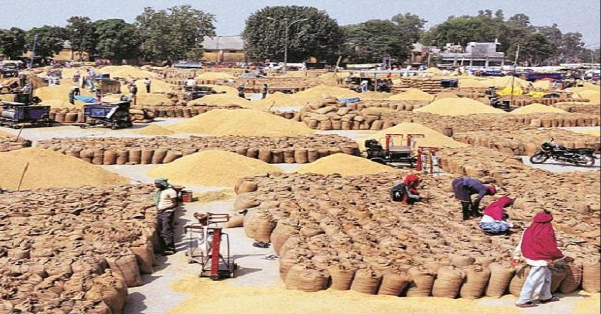सल्यानमा नौ हजार मेट्रिक टन खाद्यान्न बचत