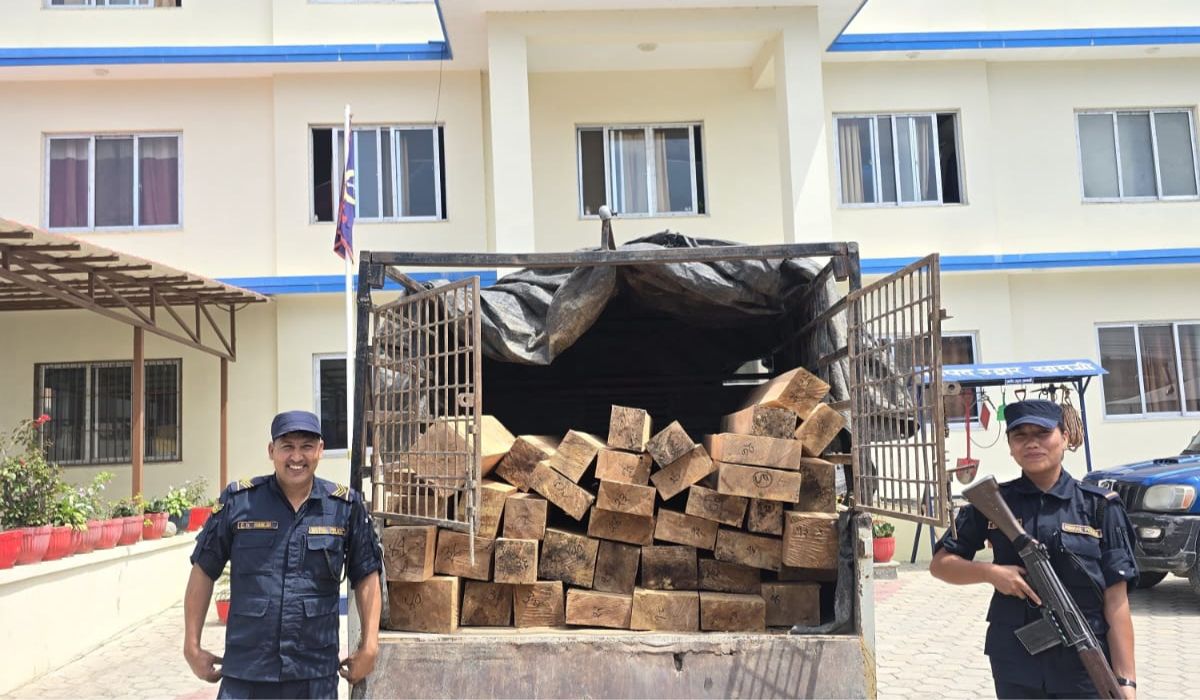 हेटौँडामा अवैध सालको काठसहित गाडी नियन्त्रणमा, चालक फरार