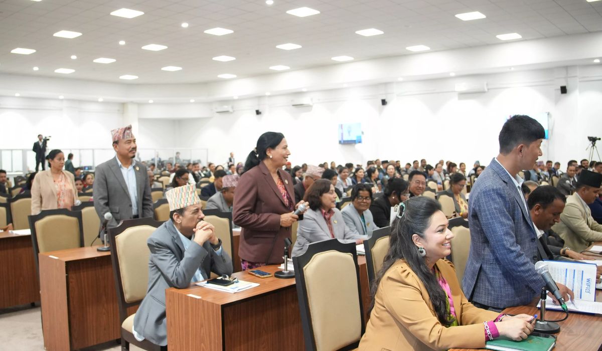 प्रधानमन्त्रीको सीमा अभिव्यक्ति हटाउन श्रम संस्कृति पार्टीका सांसदको माग