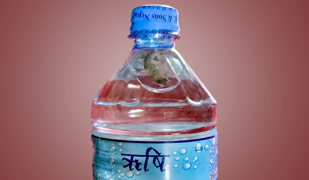 सिलबन्दी पानीको बोतलभित्र छेपारो भेटिएपछि उत्पादक कम्पनीलाई दुई लाख जरिबाना