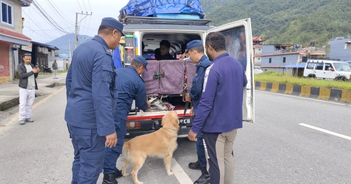 चाडपर्वमा पोखराको सुरक्षा कडा, तालिमप्राप्त कुकुरसहित प्रहरीको जाँच