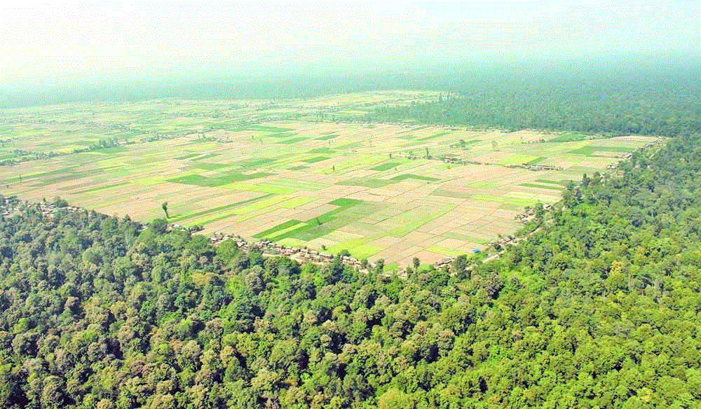 निजगढमा अन्तर्राष्ट्रिय विमानस्थल नबनाउन सर्वोच्चको आदेश, विकल्प खोज्न सुझाव