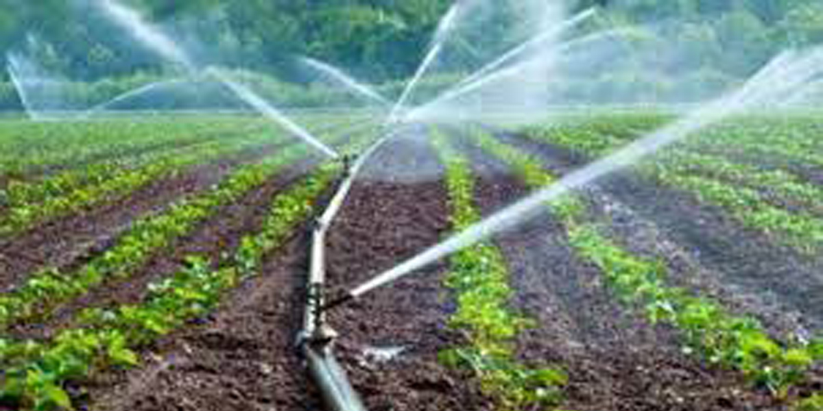 ग्रामीण उद्यम तथा आर्थिक विकास परियोजना सुरु