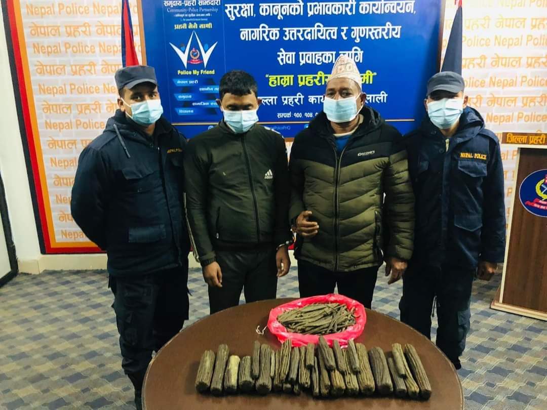 कैलालीमा लागूऔषधसहित दुई जना पक्राउ